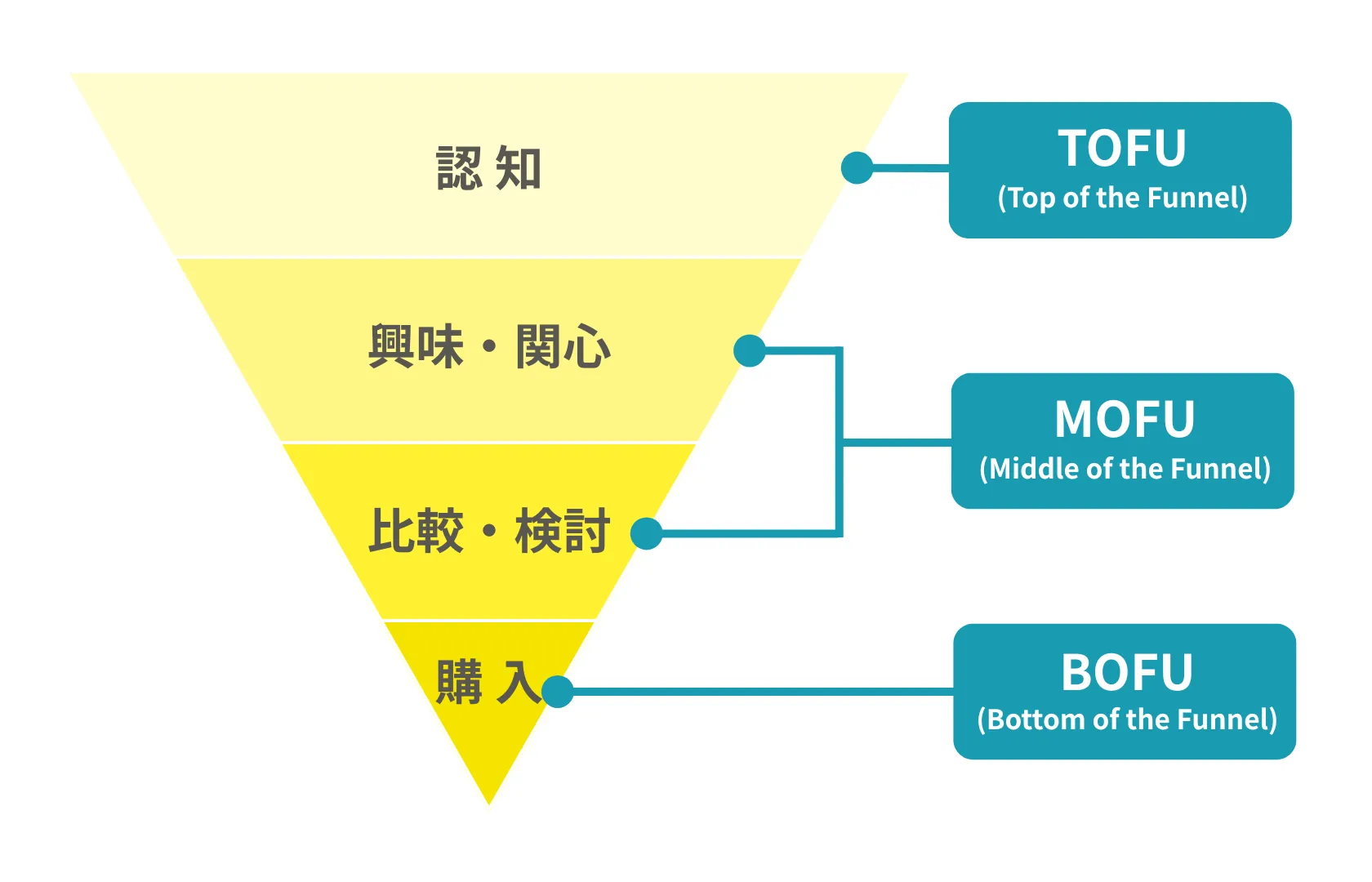 パーチェスファネル